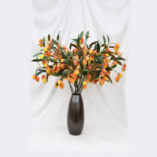 ����â����ˮ��֦���~â����֦�Ҿ��b����޾Ƶ��â�������ٻ�