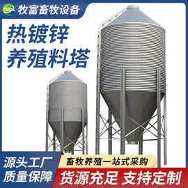 3-30吨料塔猪舍自动化料线料塔畜牧养殖料塔猪舍养殖用镀锌料塔
