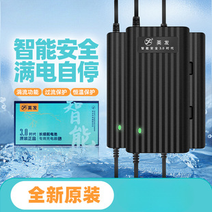 Smart Electric Vehicle Battery Charger 60V20Ah45A 72V Aima Tai Ling Yadi Universal
