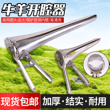 �F���_ǻ��ţ���_ǻ���U���ţ���ÔU����ţ��ꎵ��U���_ֳ��