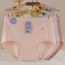 2025�¿�10A�������d�����������Ůʿ������͸������ӡ������ѝ