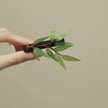 ����ˮ�����~�l�A߅�A��߅Ů2024�¿�Ů���X�׹��L�^߼���