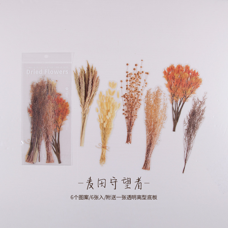 Mo Jing PET Diario pegatinas de fin de semana Flower Shop serie vintage material vegetal pegatinas Collage decoración 6 unidades 8 modelos
