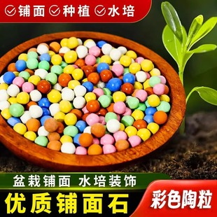��ɫ�����w�����É|�׻��ܷNֲ͸���B��ˮ���������ʯ�������ʯ