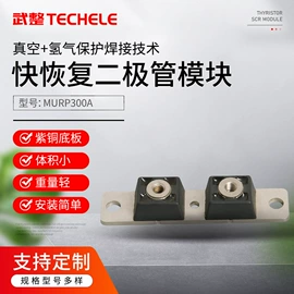 普通晶闸管;整流二极管;桥式整流器