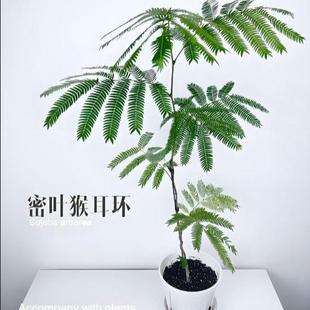 ~h1߶pL҃ȿ͏d@bƷ