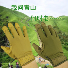 �ļ�͸���R�g�T�����׳�������܊�ԑ��g�������ͽ����ɽ¶�I����