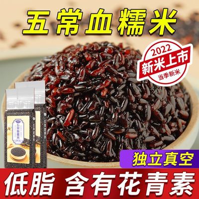 Wuchang Blood glutinous rice fresh rice traditional Chinese rice-pudding vacuum Northeast Black glutinous rice Blood glutinous Purple glutinous rice tea with milk Dessert Coarse Cereals