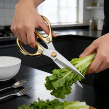 �½��ɰl-���ÏN������������������˼�N�����ü����������ü�