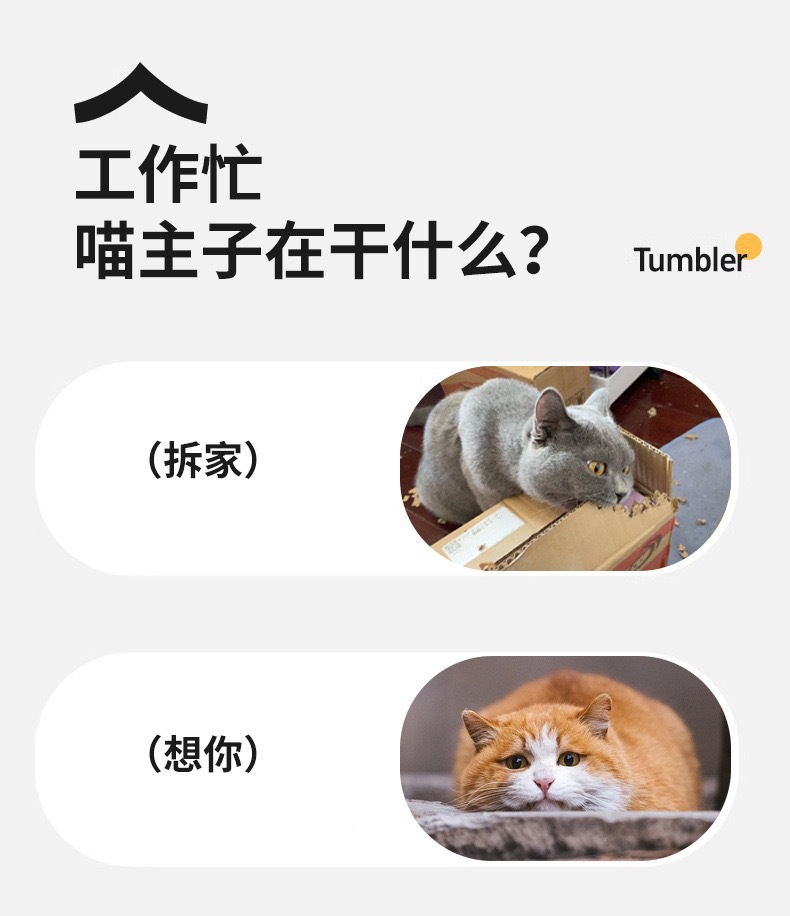 Cross-border Cat Toy Automatic Interactive Ball Self-Entertaining Boredom Relief Smart Toy with String Ball Pet Toy Kitten Toy