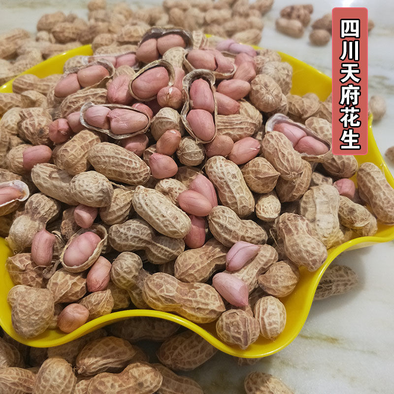 花生散装四川特产新鲜带壳干花生自然晒干农家自种生种子包邮批发|ms