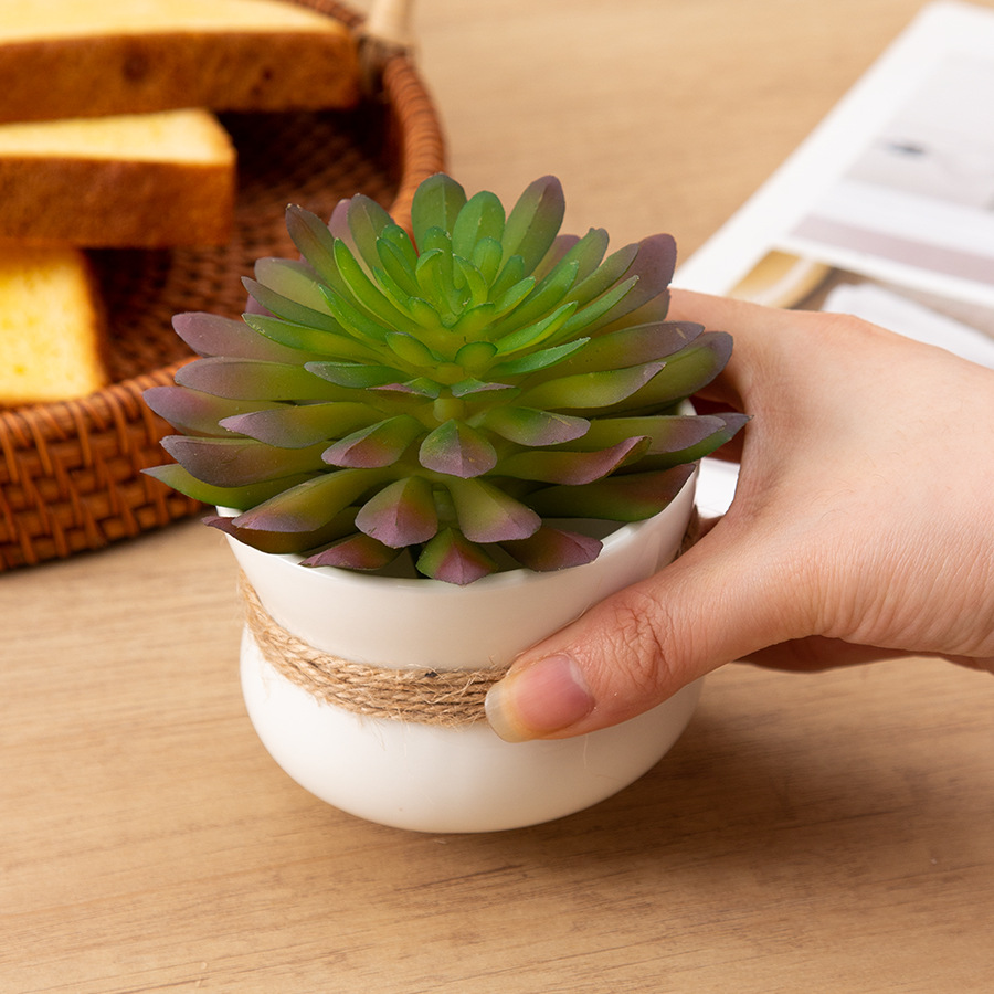 �羳����ֵ���⻨ƿ�Ҿ����������ڼ��칫��װ�������մɻ��趨��