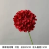 [New Product] Second Generation Lollipop Hydrangea Red