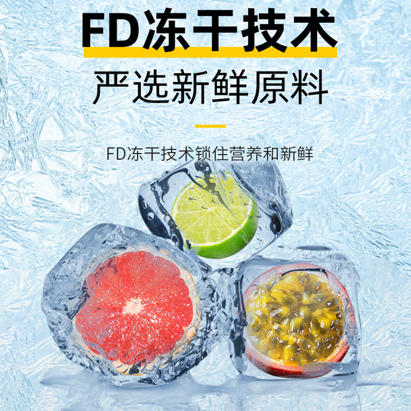 18 Fruit Tea Bag Blend with Kumquat Lemon and Passion Fruit Freeze Dried Sugar Free 20g x 10 Packs quality and texture