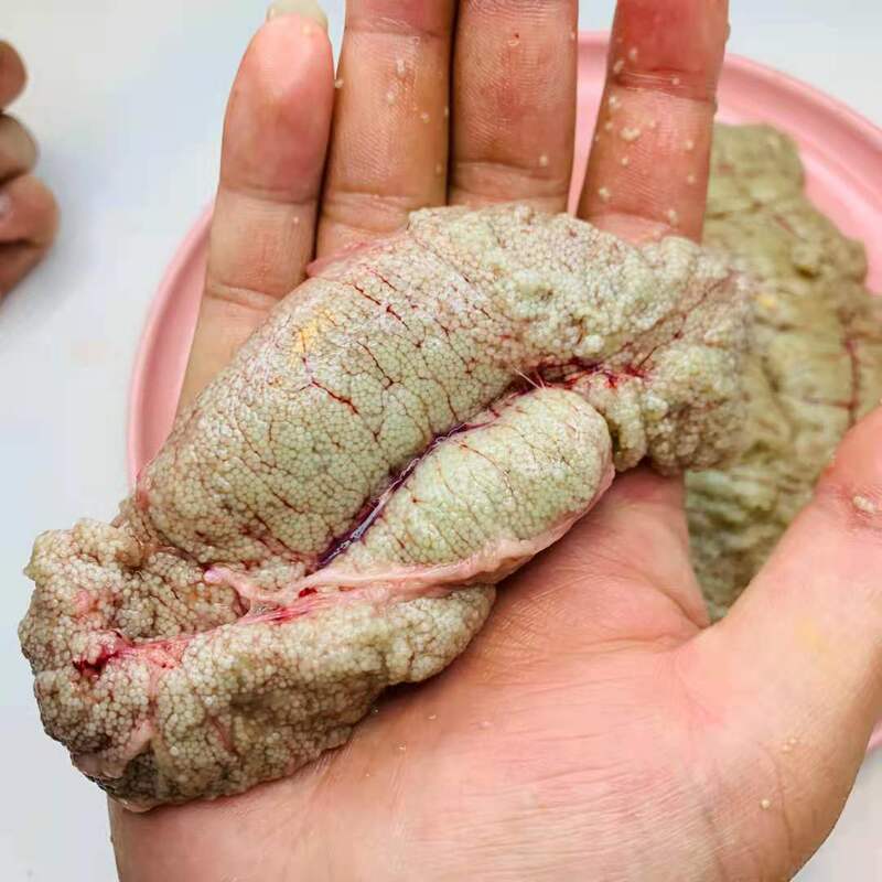 Fresh Fish Ingredients for Pre-Made Dishes: Carp Roe, Fish Eggs, Fish White Meat, Fish Intestines, Freshwater Fish Roe