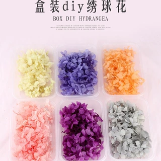 永生绣球小盒装5g 木绣球手工diy花环蜡烛相框花材团扇干花材料包