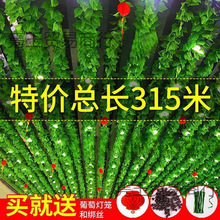 ����b��ڳ������~��������p�@�G�~�b��~�Gֲ��ٻ���