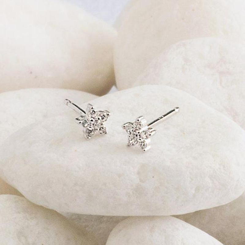 925 Silver Needle Stars Inlaid Zircon Flower Earrings Five-pointed Star Copper Earrings Women display picture 4