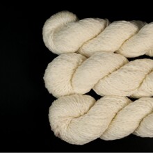 ���������Z��ëС����Ⱦ������ë�����þ�����Ⱦ����