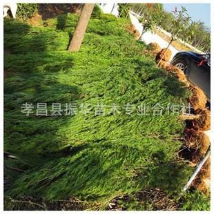 �@�־G���ؘ� ���ϙu ��u ���ٹ�·�ðؘ���x���ؘ� �ɰؘ���