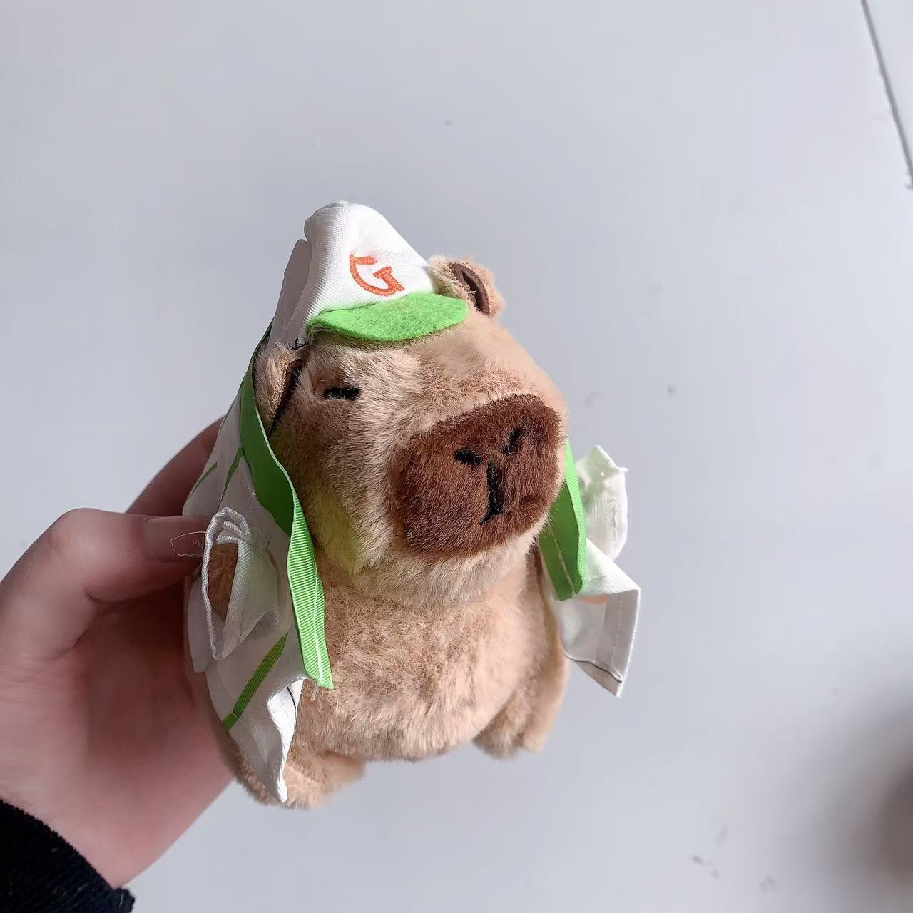 仏陀系の萌えはかわいいカピバラの君をかわいがります。