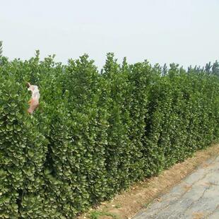 �ļ����෨�����౱����������ɺ���h��ͥԺ�����G����߅�ߗU�S��