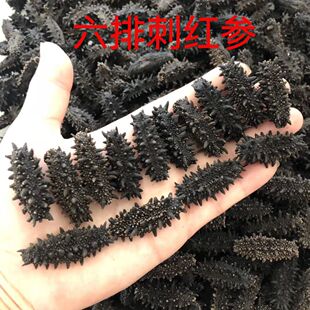 �������_˹�����P�|�t��50g ������؛ ���ɺ��������Y���b