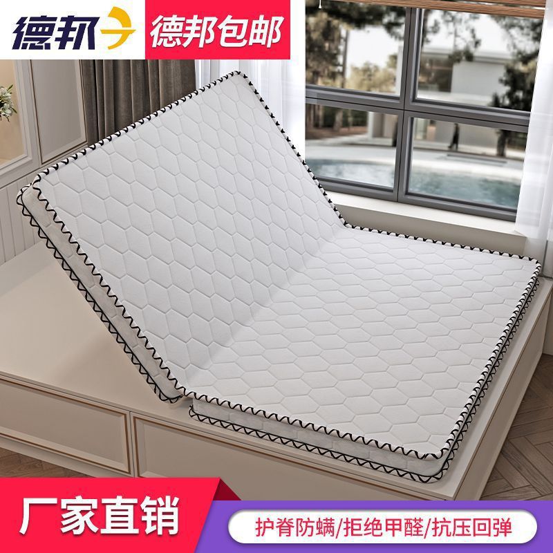 Natural 3E Coconut Palm Mattress Children's Spine Protection Hard Mat Economical Foldable Tatami 1.95m Home Use
