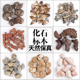 水晶工艺品;标本;宝石工艺品