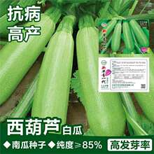 �����J�N�ļ��GƤ�����J�N���߲˺��J���ͺ����������N�ӹϷN����