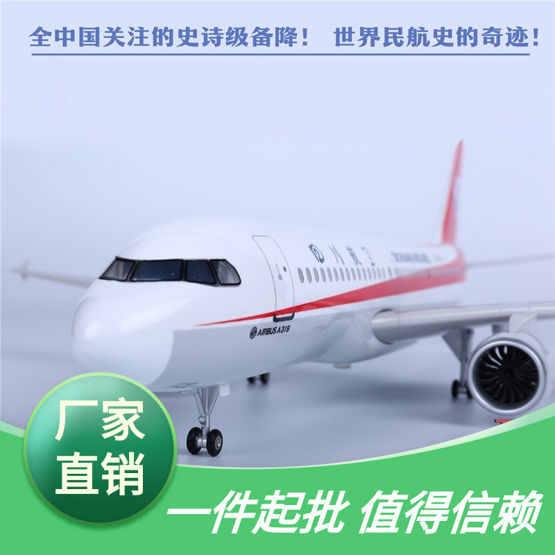 客机B空客飞机航空摆件四川模型A319同款中国3-6419机长U8633