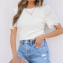 2025�괺���¿ɫ�_�y���^����Ů�W�����s�ٴ���~��T����Ů