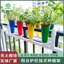 �̨�o�ڒ�ʽ�߲˷Nֲ��o�������O���~�˹���ϵ�yˮ�໨������