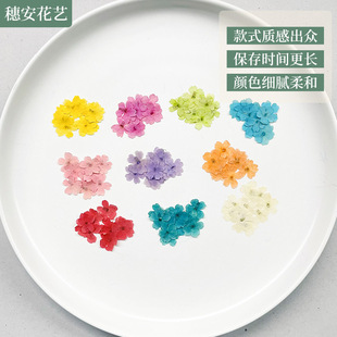 Dried Flower diy Material Bag Beauty Sakura Nail Art Plant Specimen Jewelry Handmade Flower Mobile Phone Shell Dropping Glue Dried Flower Embossed