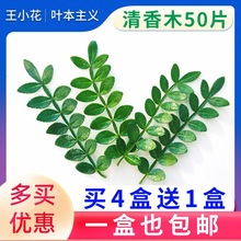 rľ~ƷbGֲ~ľƷ[PcY