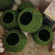 ��̦�\��ֲ��⻨�� �����mʯ���Nֲ΢���^��̦����Ȥζ�Ҿӱ�