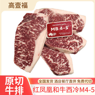 ����203�S�t�P�˺�ţ����ţ��M4-5���ѩ��ԭ��ţ�����Kţ��