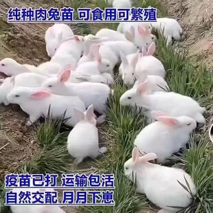 ���ӻ��wС����С���������m�����r�������÷�ֳ���B����15