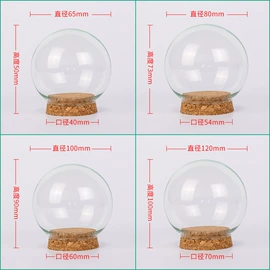 玻璃工艺品;微景观;灯罩