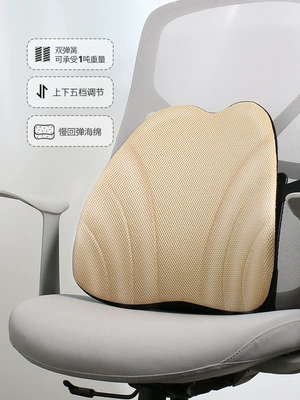 Artifact Ergonomic Lumbar Support – Waist support - creamy-white
