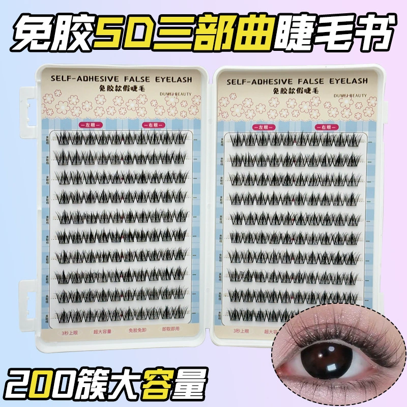 False Eyelash Kit, Self-Adhesive Cluster Lashes, Multi-Style 36–240 Clusters, Compact Tray