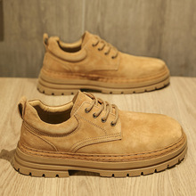 �R����Ь2025�ﶬ�¿���ʿСƤЬ�͎����eЬӢ���ٴ��׹��bЬ��