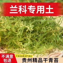 ��̦�\��̦ˮ̦�FƤ�����m��ʯ���Nֲ�I�B���������߉|������޽�