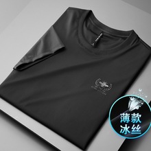 �ļ��ٸ��±�˿����t���п������д�����䱡����ʿԲ��������516