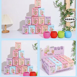 ��ݮ�������տ�޹�²������˷Nֲ�����꼉�P�ɻ��N�ӌ��Nֲ���b