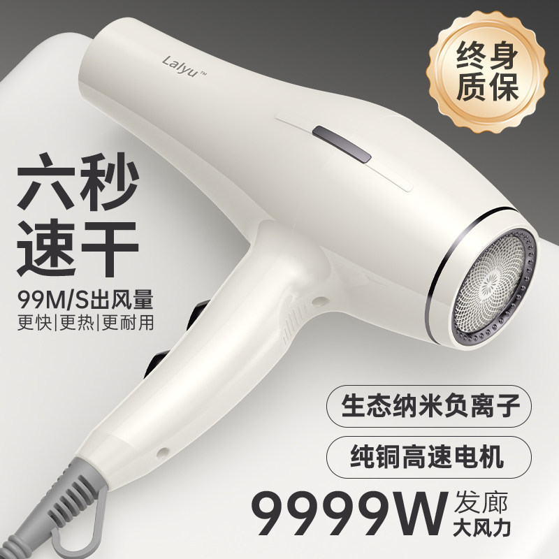 Secador de Pelo Profesional con Iones Negativos de Plástico para Peluquería y Hogar
