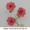 Printed rose