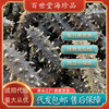 Dalian specialty Dried sea cucumber 50gA Japonicus One piece On behalf of precooked and ready to be eaten sea cucumber dried food sea cucumber