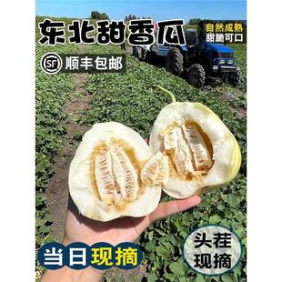 ����S���|�������������ϰ��ǹ����r�^��Fժ�ЋDˮ�������خa