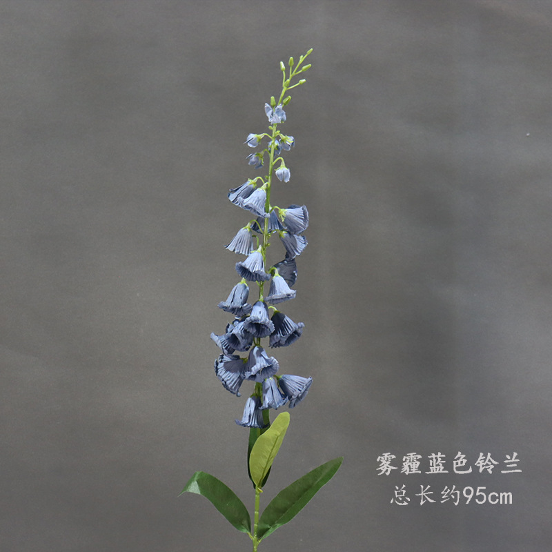 Haze lirio azul del valle